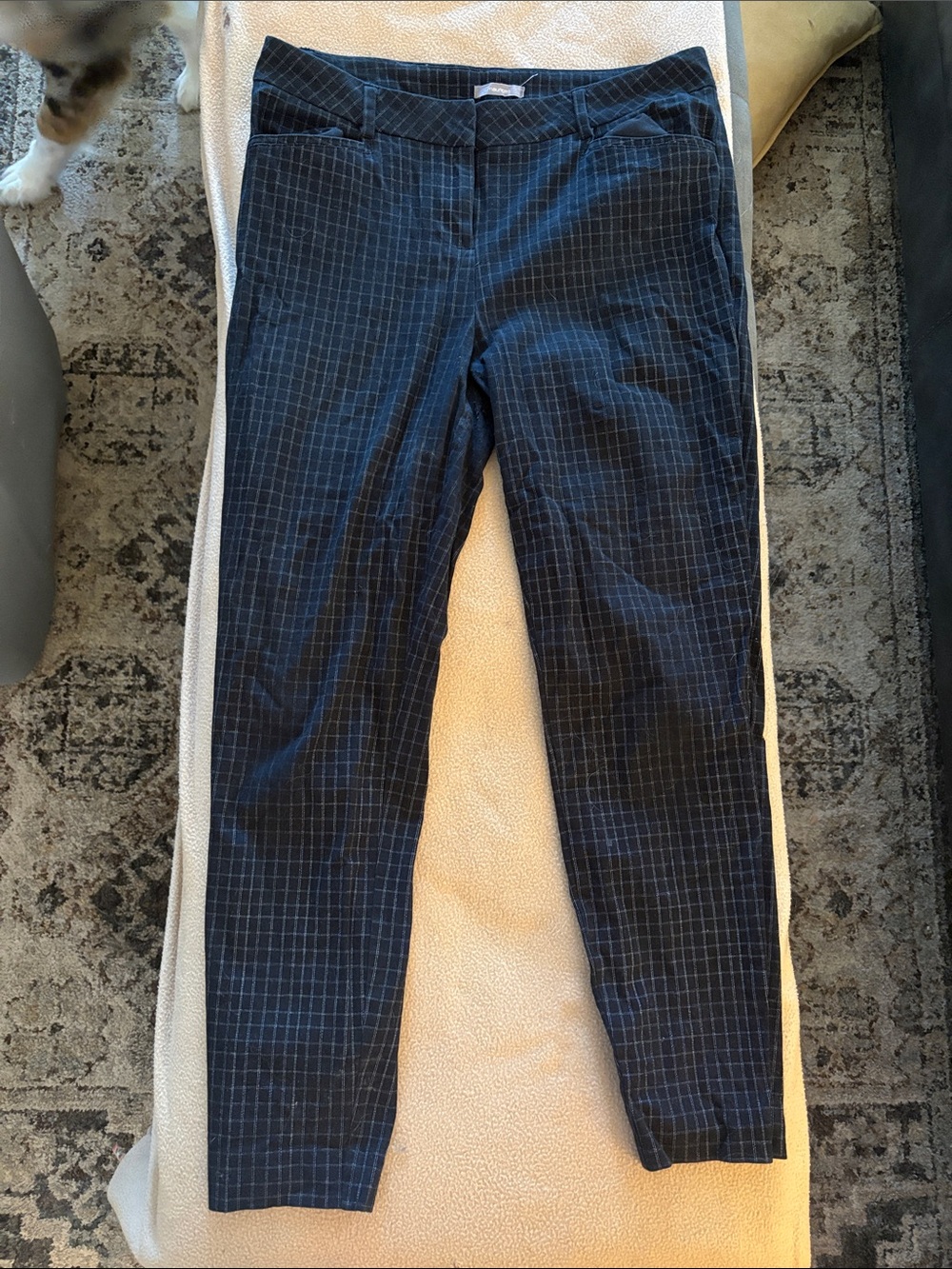 Women’s Navy Windowpane Dress Pants